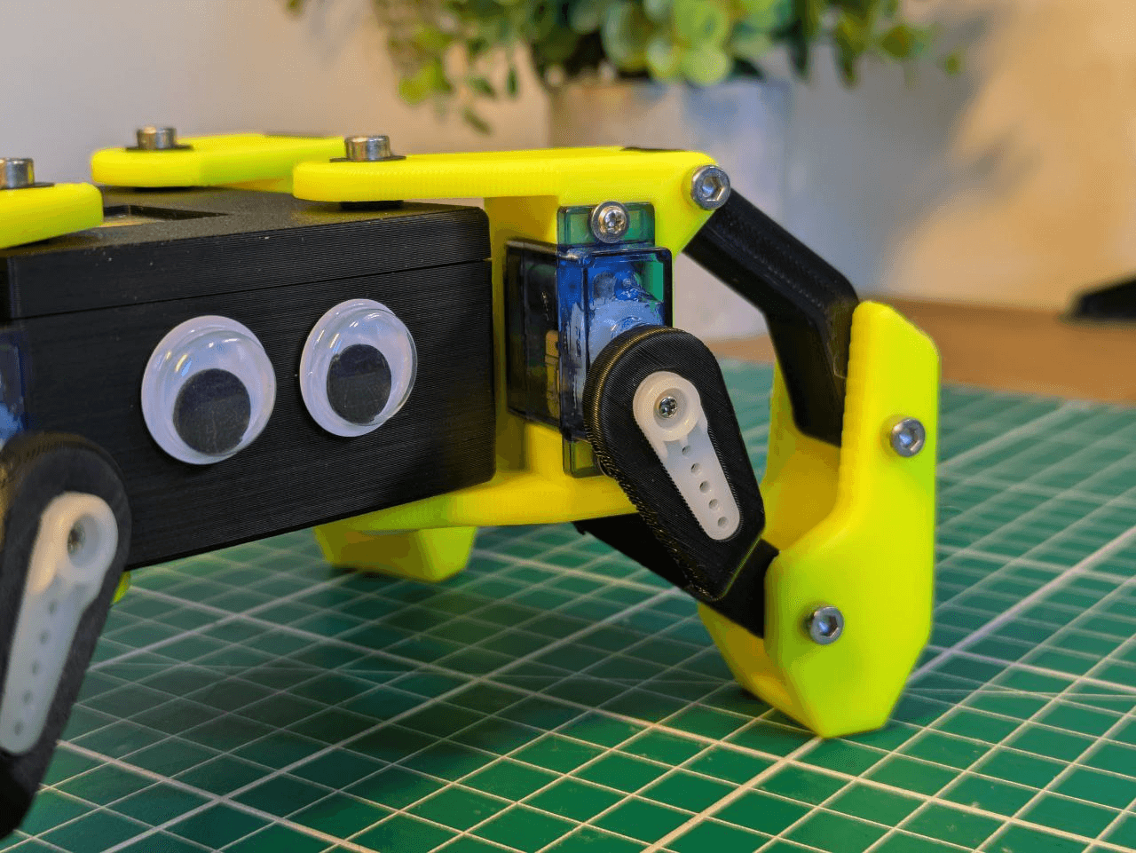 I Built a Robot Crab Named Keku thumbnail